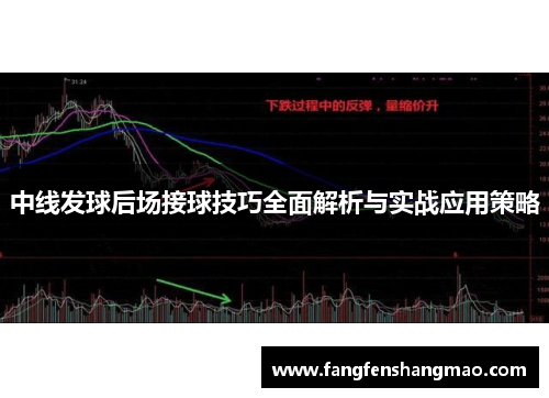 中线发球后场接球技巧全面解析与实战应用策略